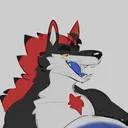 tanicoyote