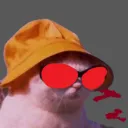 richcool1