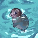 shyseal_