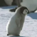 lllibailll