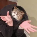 fyk.