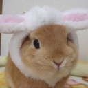 avatar 𓏏𓏏　　vivi　　♡