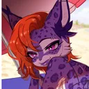 evanpurr
