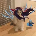 s_d1