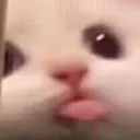 loluoxi