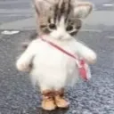 scrubbles