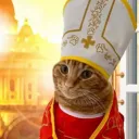 felinenibbler