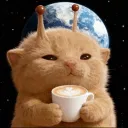 meowdy.