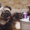 puppymonkeybaby