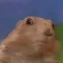 vescator
