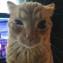 bbymys