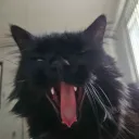 ihavetoomanynames