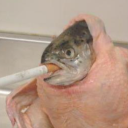 dabsonurbonito#3759's avatar