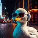 sduck.is