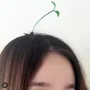 kiraxmisu