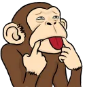 oseanz