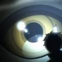 apophys0354