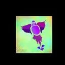 budgie1979uk
