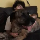 tomateaterrador