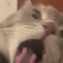 victorwoohoo