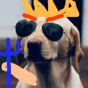 zxyl