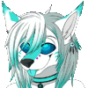 nowocz409's Avatar