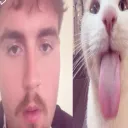 potatosir_