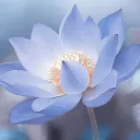 whimsical_flower_9052