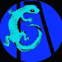aquagekko