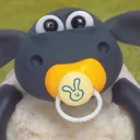 sheepje