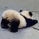 _manbear