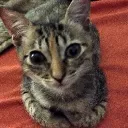 luluuuwuuu