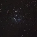 brandon4330