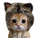 rayray1985