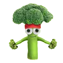 mr.broccoli3345