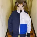djbollehat