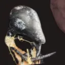 jbkreal
