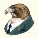lifelesshawk