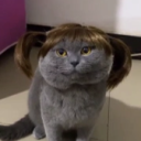 dvz's Avatar