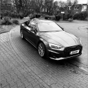 avatar 𝕾𝖙𝖆𝖍𝖑