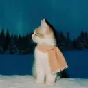 rabiant