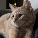 itsmackie