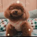wooosa7
