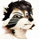 raccoonroll