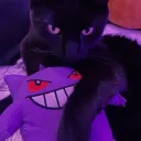 hikarilol