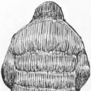 axl2527