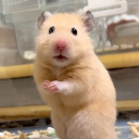 avatar ♡♡♡𝕐𝕒𝕪𝕒♡♡♡