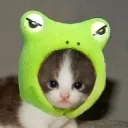 vorb