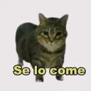 ceckson