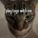 nyanmudkip